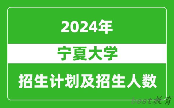 宁夏大学2024年在安徽的招生计划及招生人数