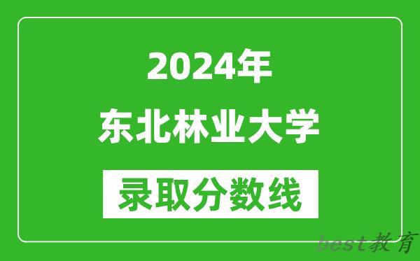 2024北京高考多少分可以上东北林业大学(含分数线、位次)
