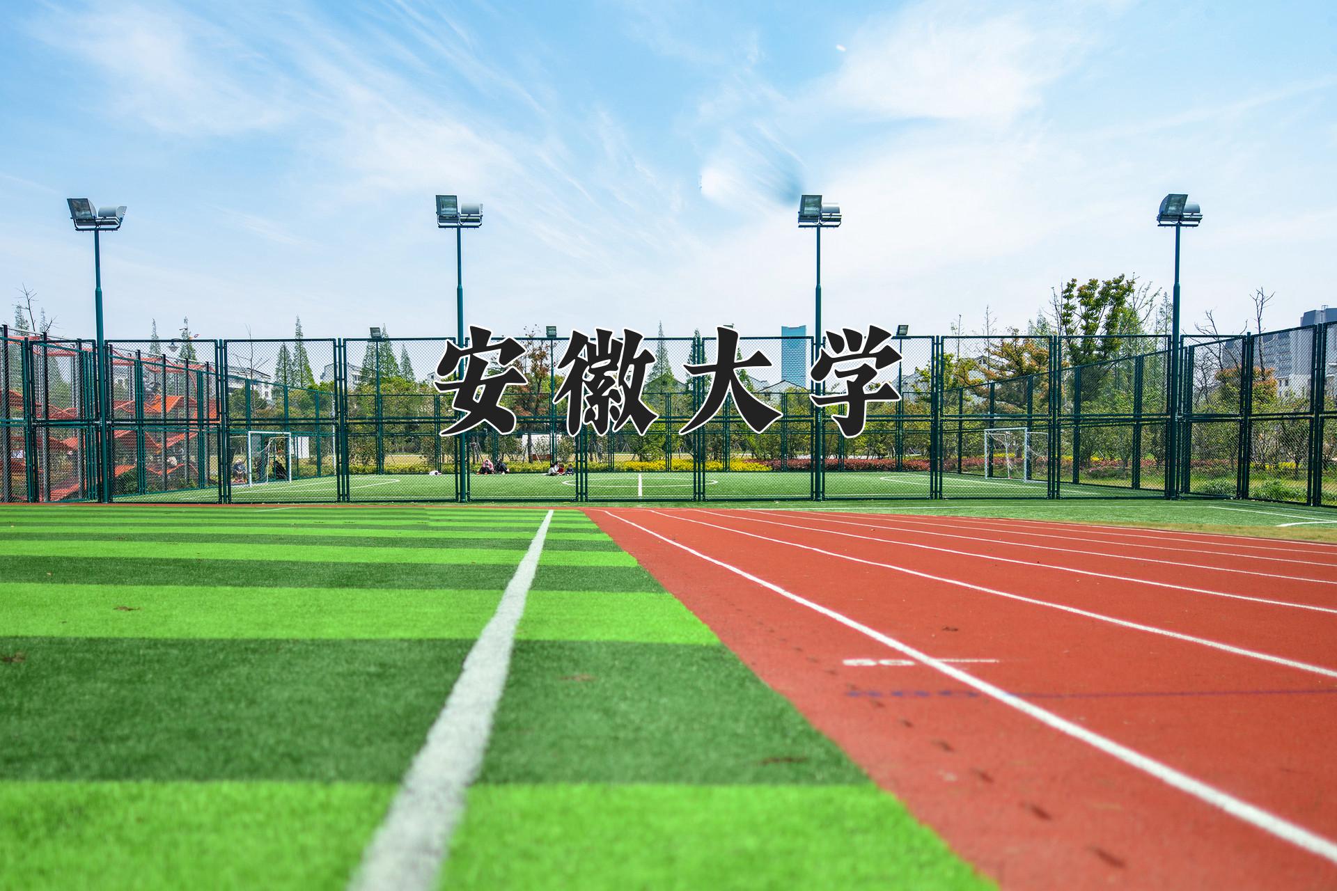 安徽大学