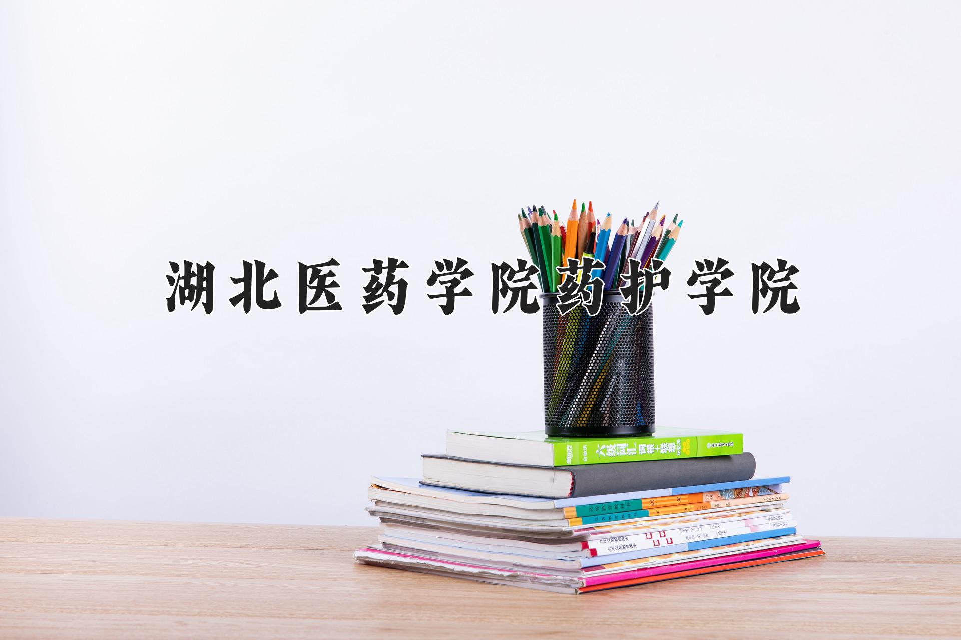 湖北医药学院药护学院