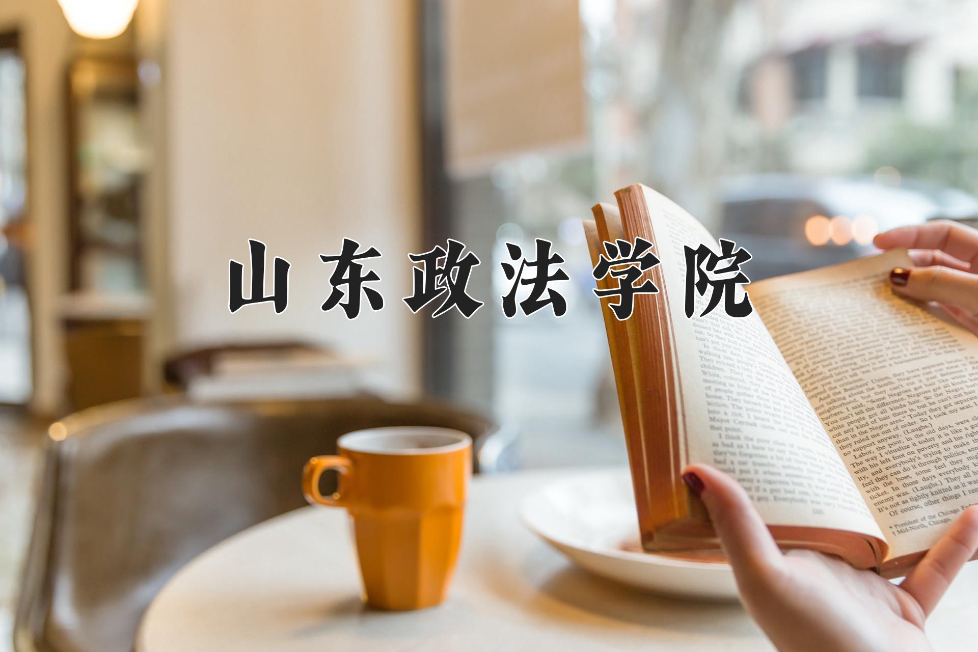山东政法学院