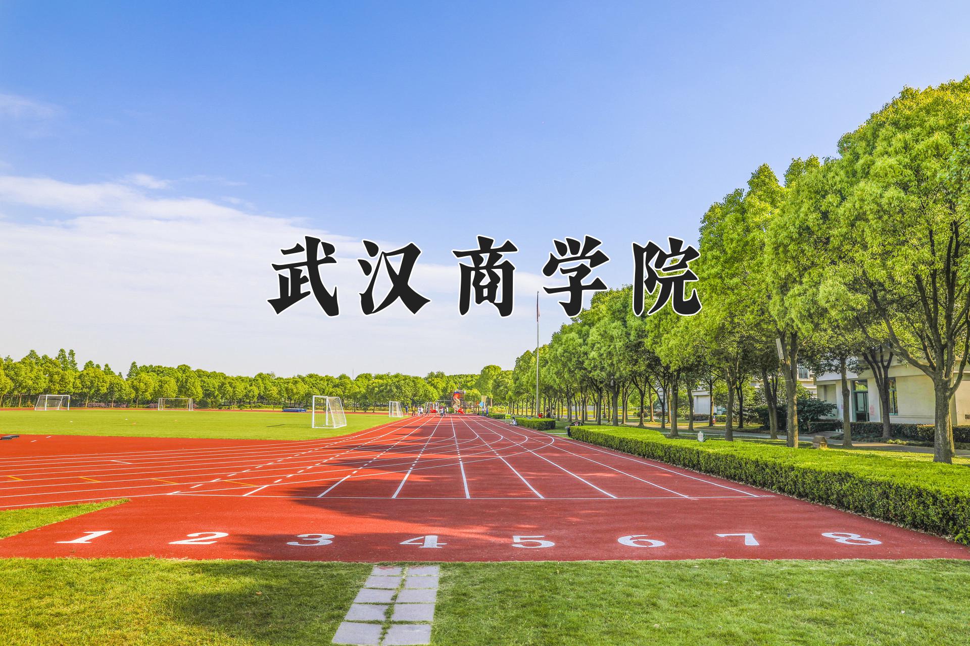 武汉商学院