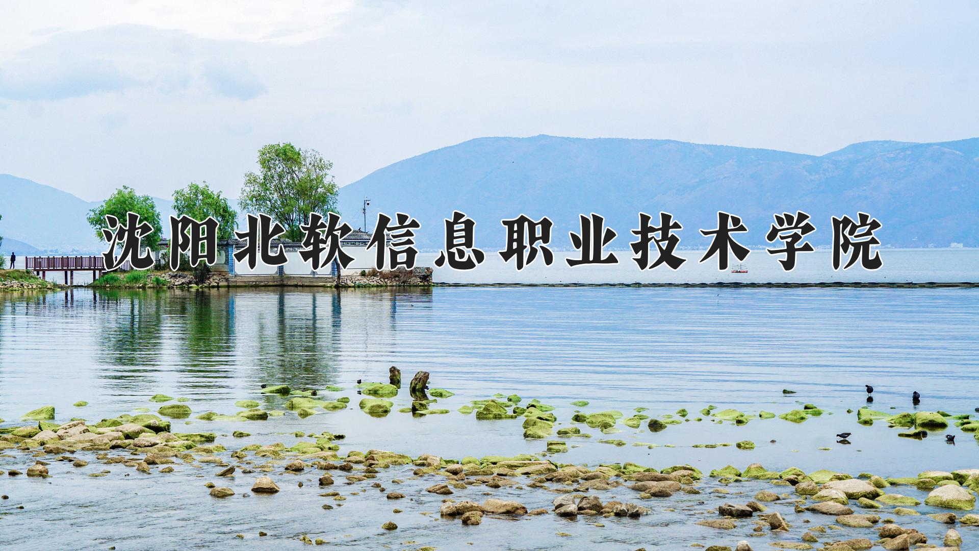 沈阳北软信息职业技术学院