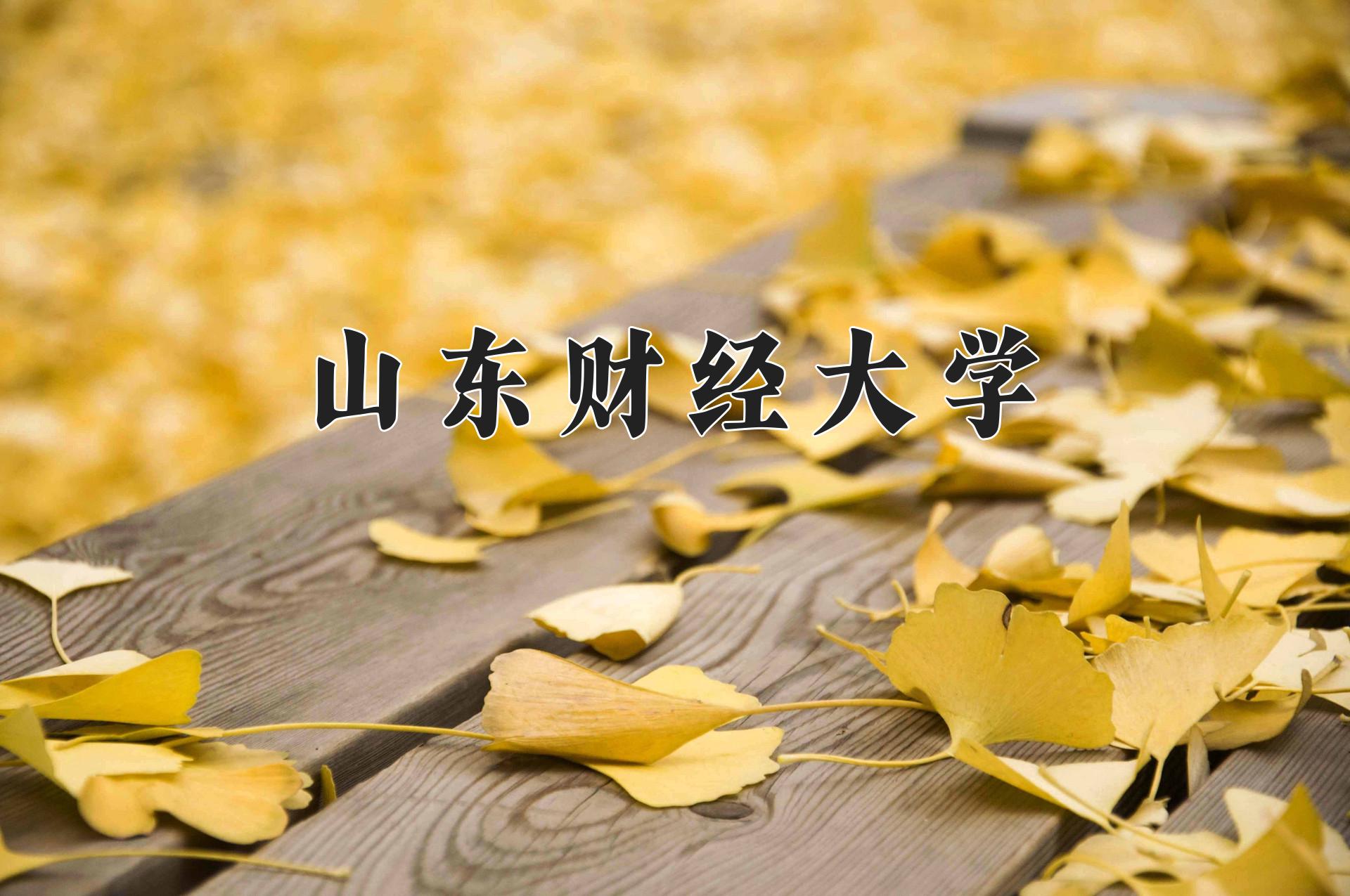 山东财经大学
