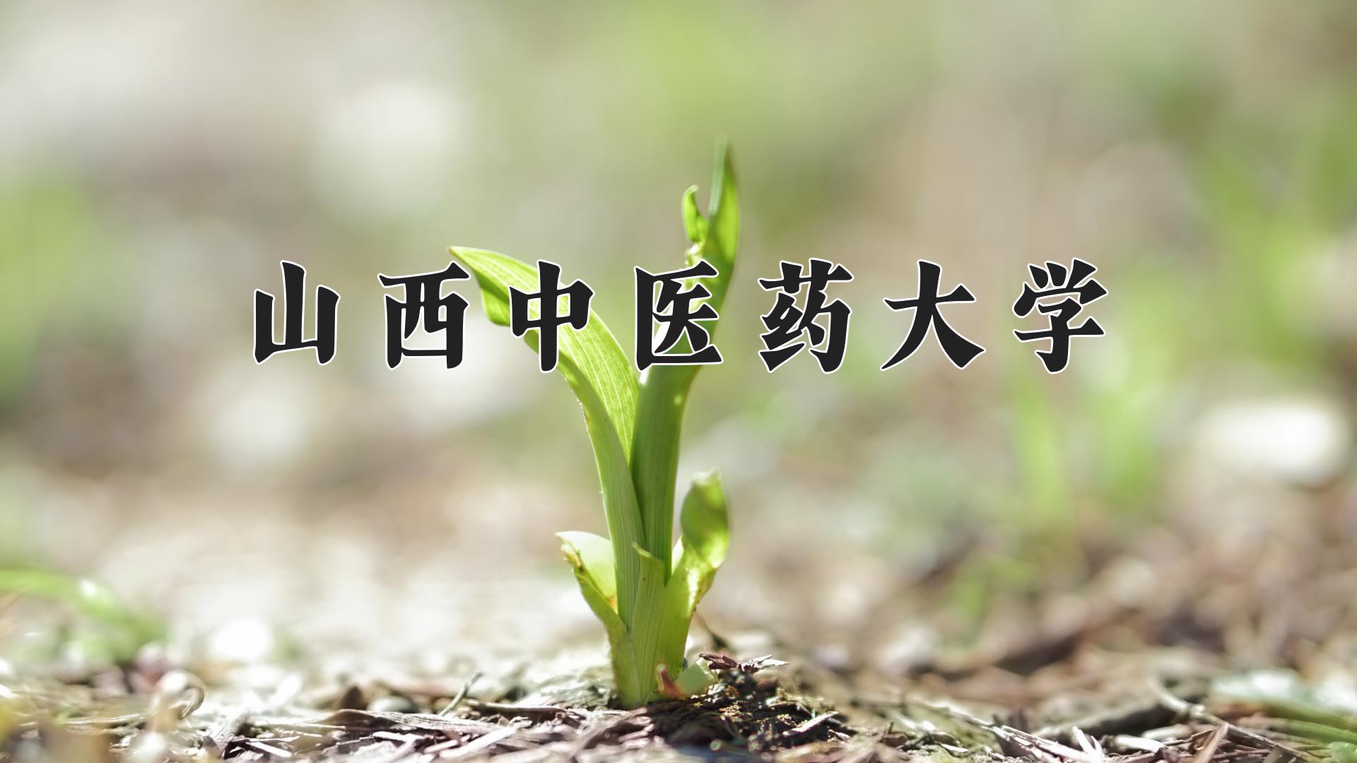 山西中医药大学