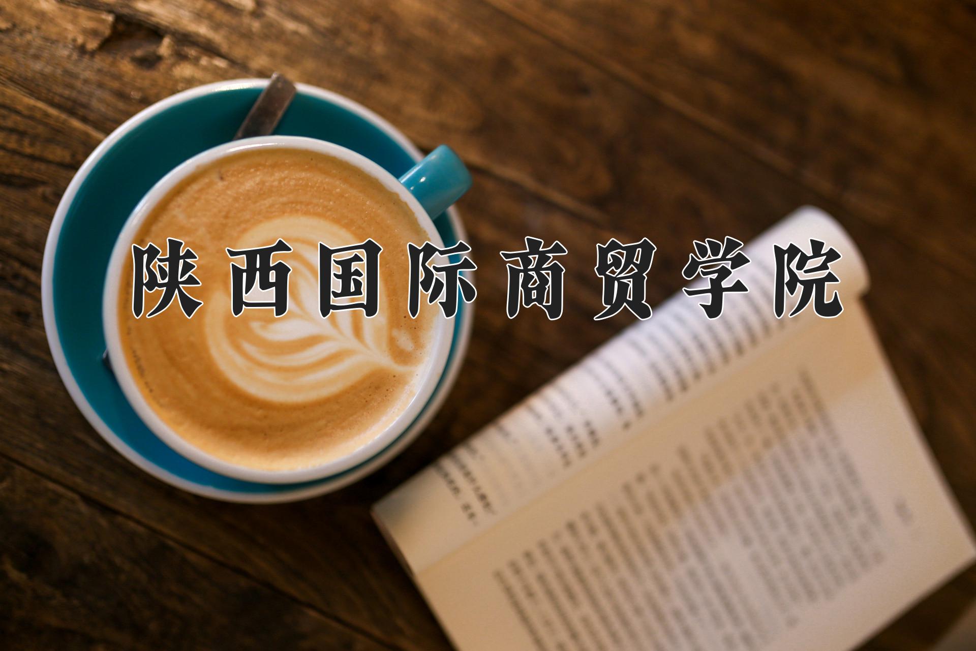 陕西国际商贸学院
