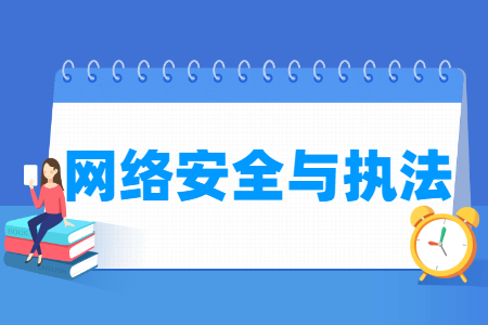 2024网络安全与执法专业选科要求