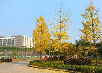 四川省仁寿县第五高级职业中学