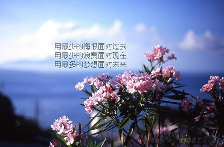 长宁县职业高级中学有没有物业管理专业?