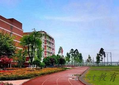 四川2024年哪个计算机学校比较好呢