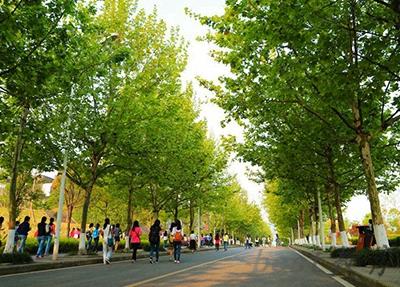成都电焊机厂技工学校招生专业有哪些?有焊接专业吗?