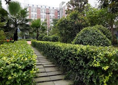 泸州化工厂技工学校有加工制造专业吗?