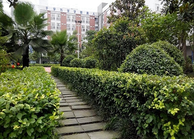 成都空中乘务中职学校排名榜(最新)