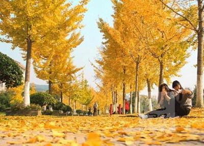 会宁机电工业学校
