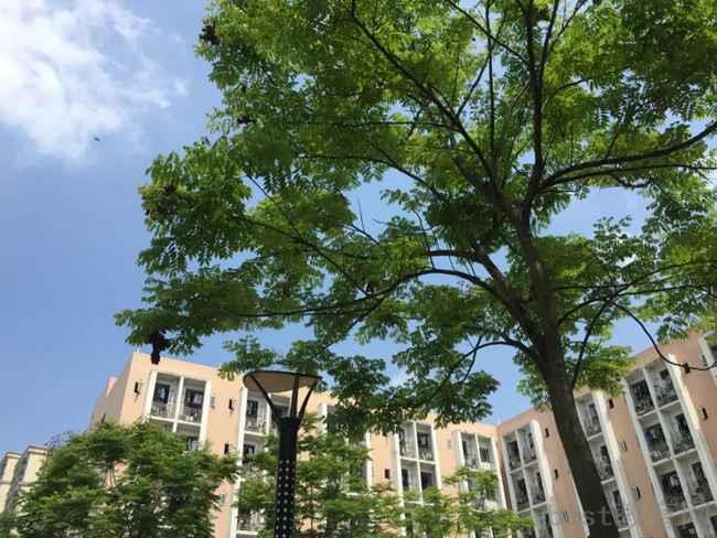 2023年泸州市四川泸州市实验中学班级如何设置