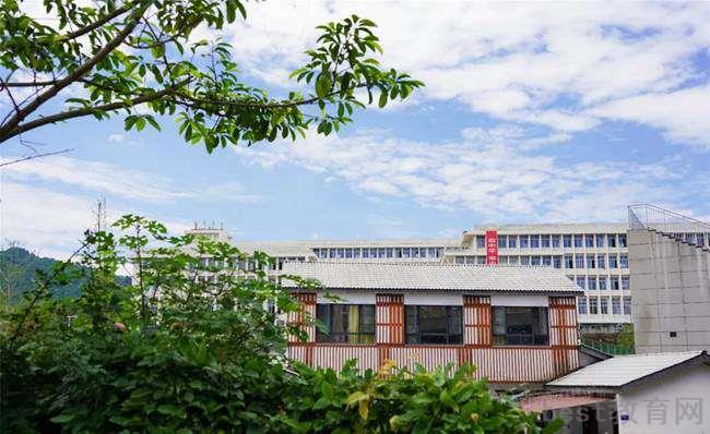 2023年资阳市南津中学班级如何设置