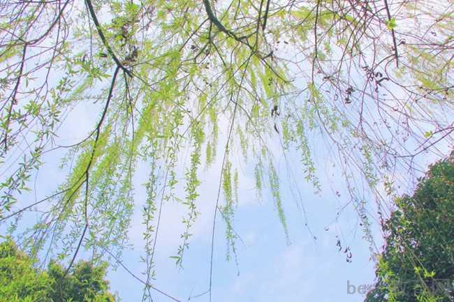 成都哪所学校高铁专业好
