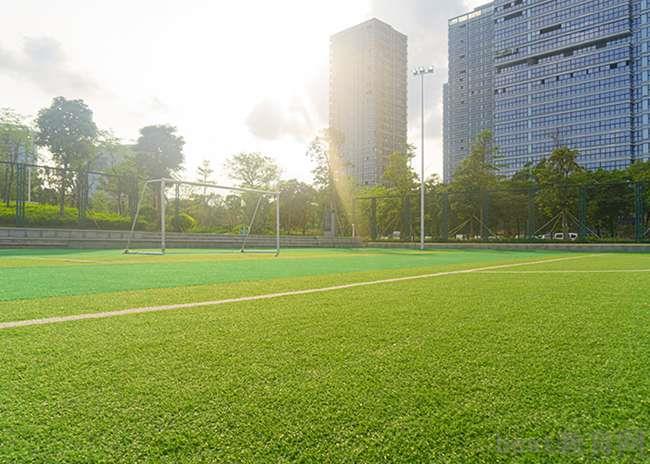 2023年成都市天府新区师大一中升学率怎么样