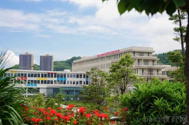 2023年成都市养马中学本科升学率是多少
